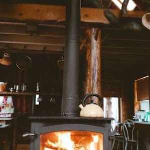 Fisher Cat Creek Forest Retreat
