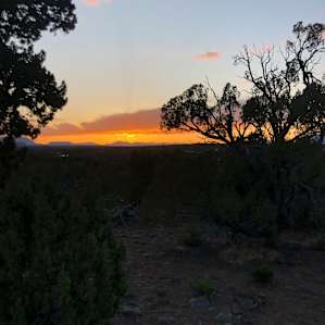 New Day Homestead