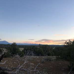New Day Homestead