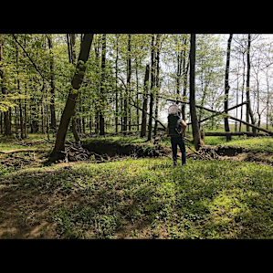 Hiking in the woods.