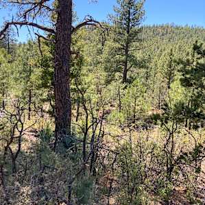 Camping and Stargazing in La Cueva