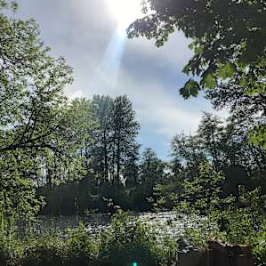 Beautiful view from site #2