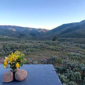 The wildflowers were unbelievable in May. I couldn't resist putting a bouquet together.