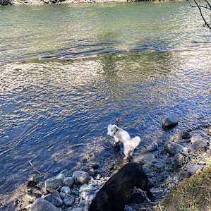 Buck Meadows River Frontage