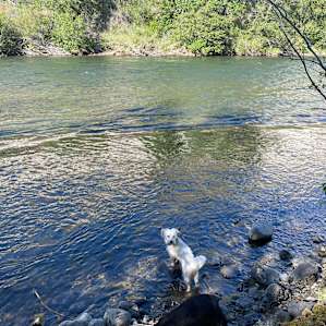 Buck Meadows River Frontage