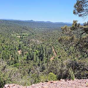 Mountain road in the national forest