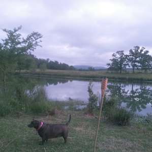 We had this Pond all to ourselves