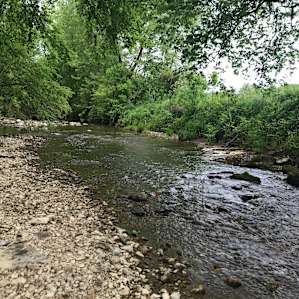 Looking up the creek at site 2.