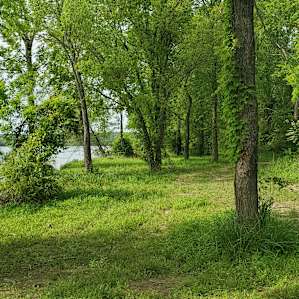 River camp