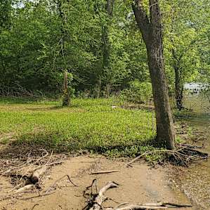 Camping on the Tennessee River