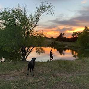 Aggie Acres