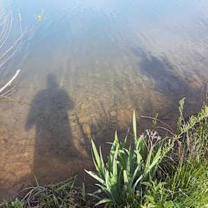 Fish Farm Camp