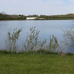 Fish Farm Camp