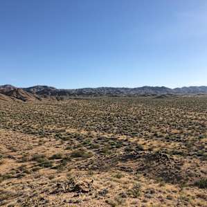 Joshua Tree South Private Campsite