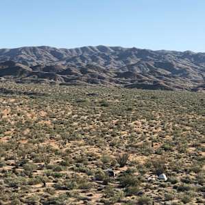 Joshua Tree Campsite