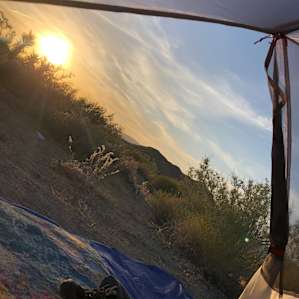 Joshua Tree Campsite