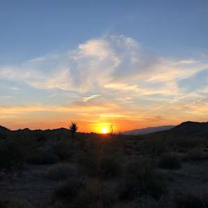 Joshua Tree South Private Campsite