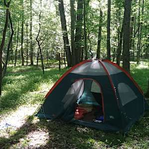 Creekside Camp
