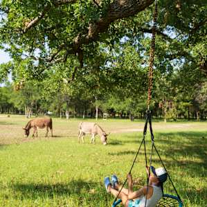 400 sq ft bell tent