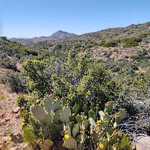 Hiking to the top of the hills to the east. About a 3 hour hike in total. I did get a small bit of reception once I got to the top of the hill.