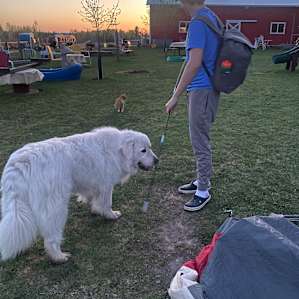 Camping with the Critters