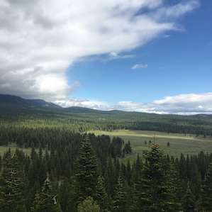 A view of the meadow on the way to the campsite