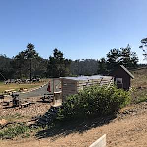 There’s an awesome boardwalk hike near the camp.