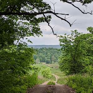 Hiking vistas