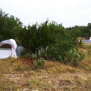 Tent location options. I placed mine in a wind break and my daughter had hers out in the field to see the stars!