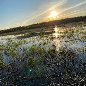 Beautiful Marsh just a small ride away