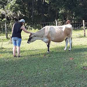 Timberline Farm