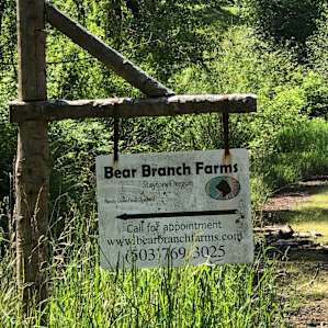 Tent/RV on Certified Organic Farm