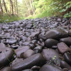 Beautiful river stones on a path to the left of the river access point.