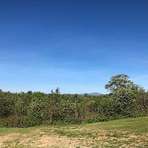 View looking out from
The barn