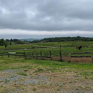 View of the expansive horse farm