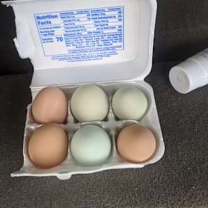 Fresh Eggs from the farm!