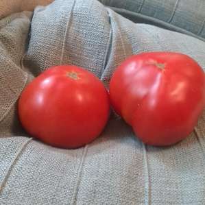 Farm fresh produce!