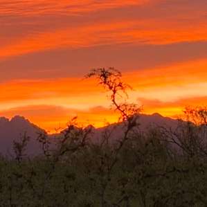 5 Acre Horse Ranch Camping