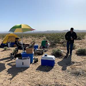 NightJar Oasis