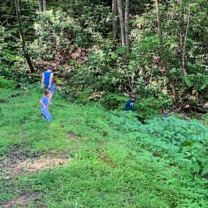Pond Springs