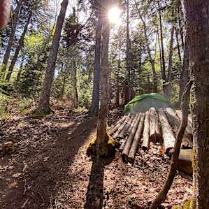 view of the tent site from the creek/fire pit area