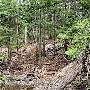 both creekside fire pit and tent site above in one photo