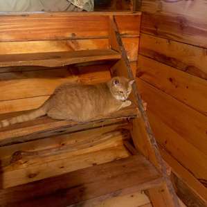 Full bed in a Tiny Home!