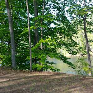 Winnisquam's Edge