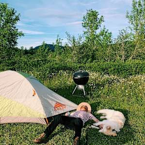 Camp by the pond