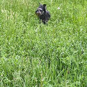 Viggo had a blast exploring