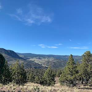 Bucking Horse Ranch