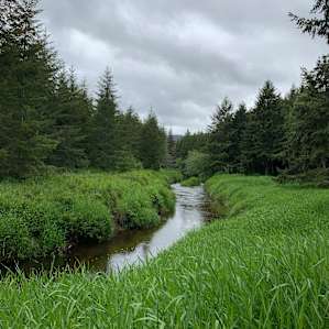 Elk Creek 7
