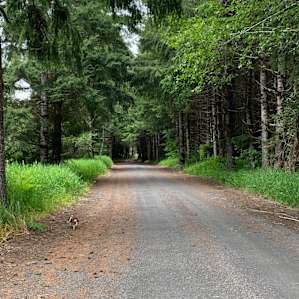 Elk Creek 7