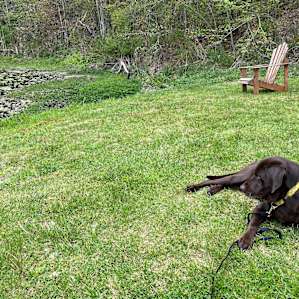 Our pretty girl loving Joe’s Hidden Chalet